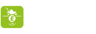 Cheap GPR Surveys